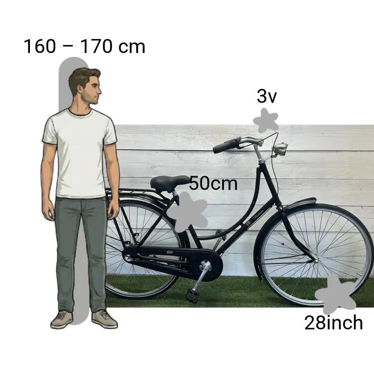Bicicletta usata Batavus 2/4