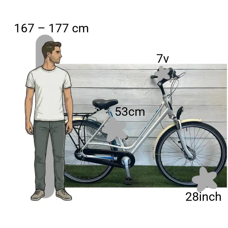 Bicicletta usata Batavus 2/4