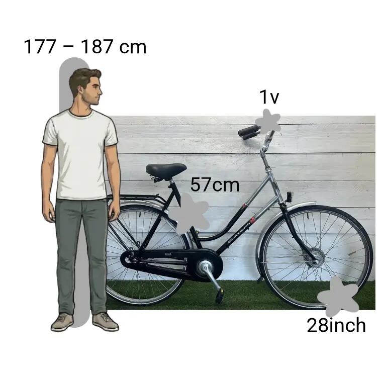 Bicicletta usata Burgers Leventa 2/4