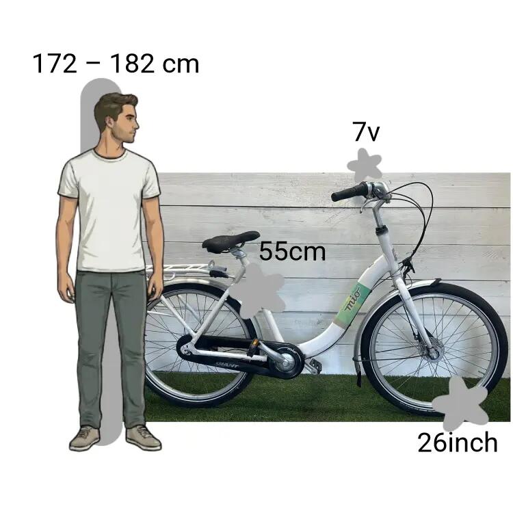 Bicicletta usata Giant Mio 2/4