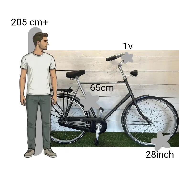 Bicicletta usata Gazelle Impala 2/4