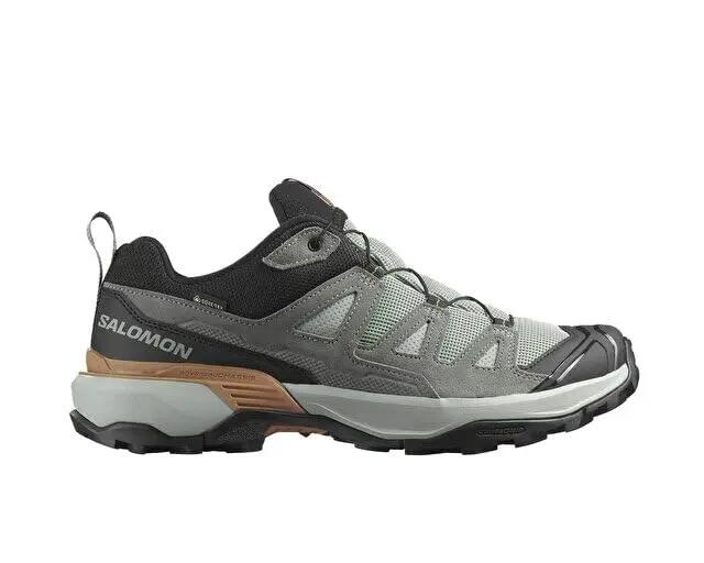 SALOMON picture