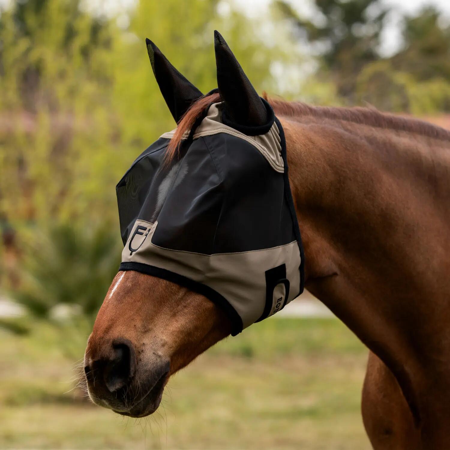 EQUESTRO picture