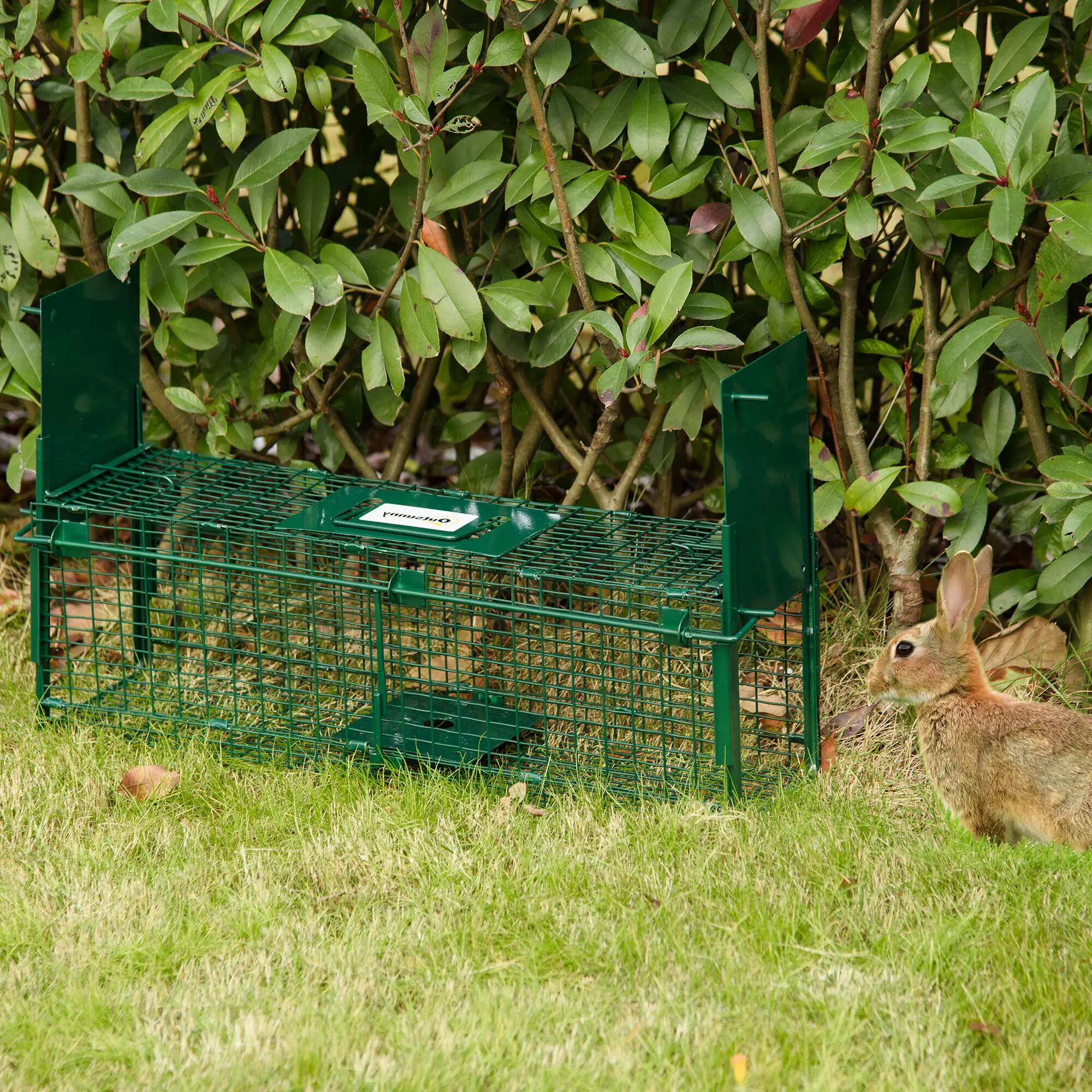 Piège vivant - Jardin - Cage acier, double porte, vert 3/6