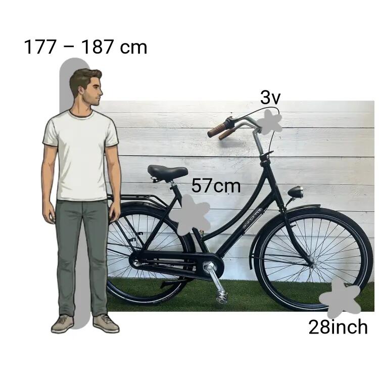 Bicicletta usata Postal 2/4