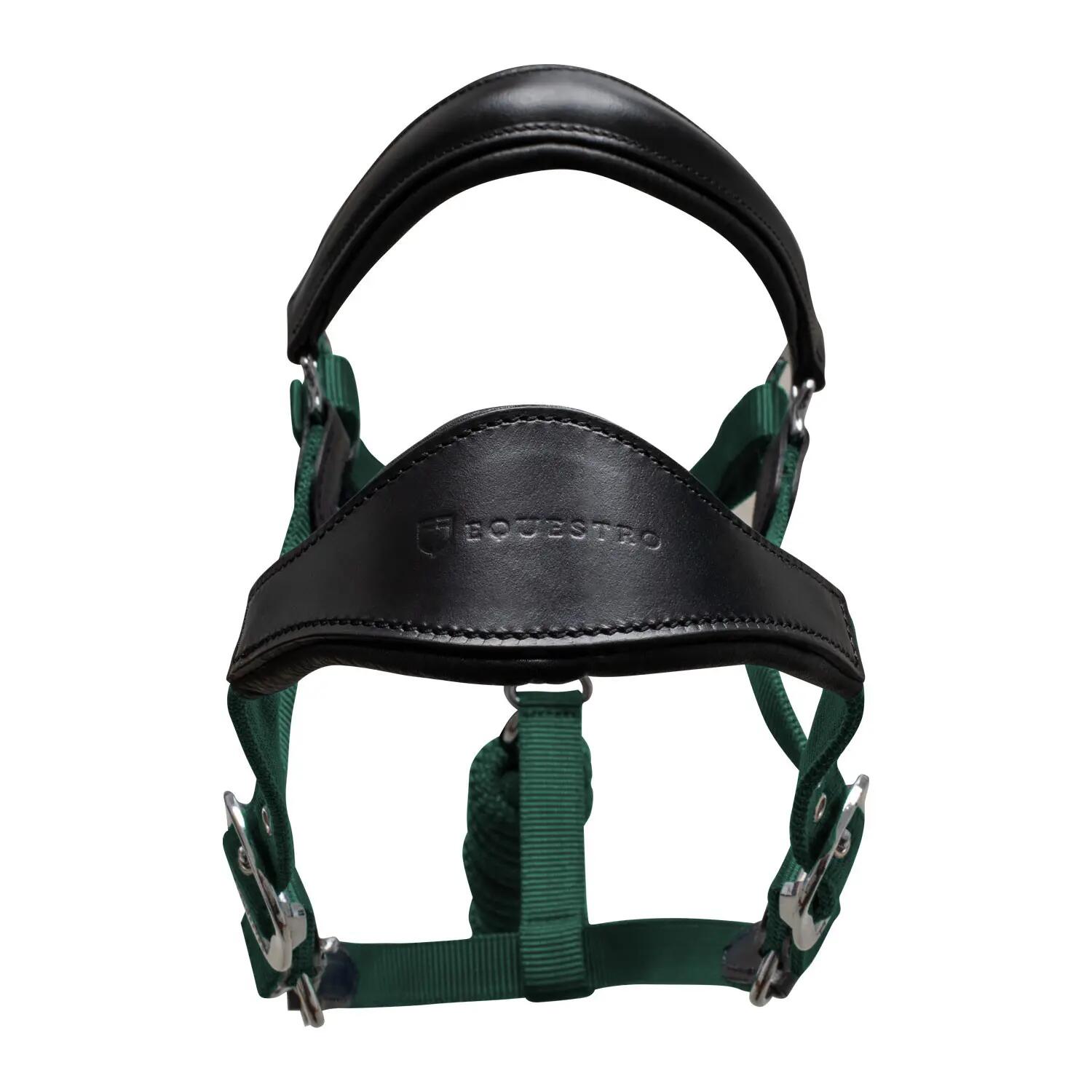 Cavezza ergonomica con inserti in cuoio 5/5