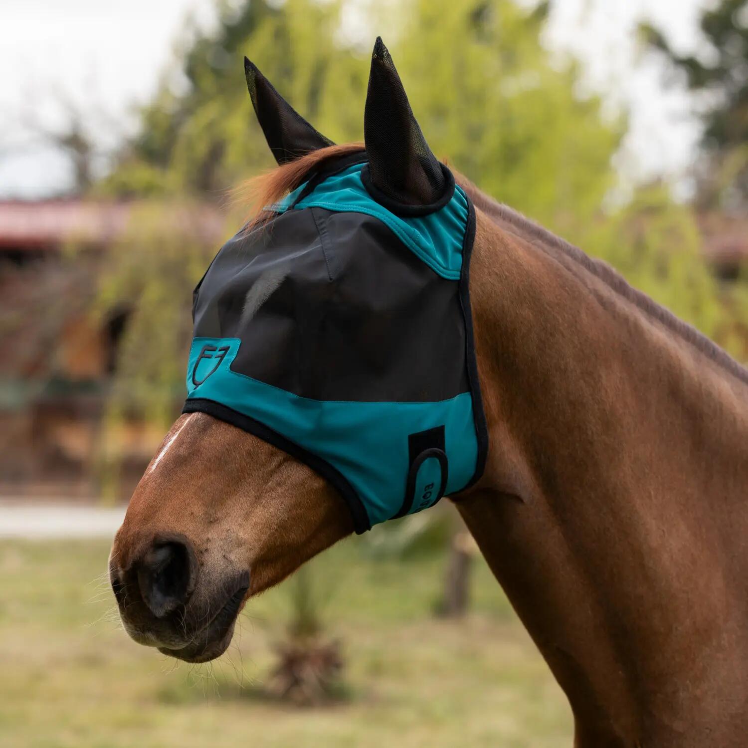 EQUESTRO picture