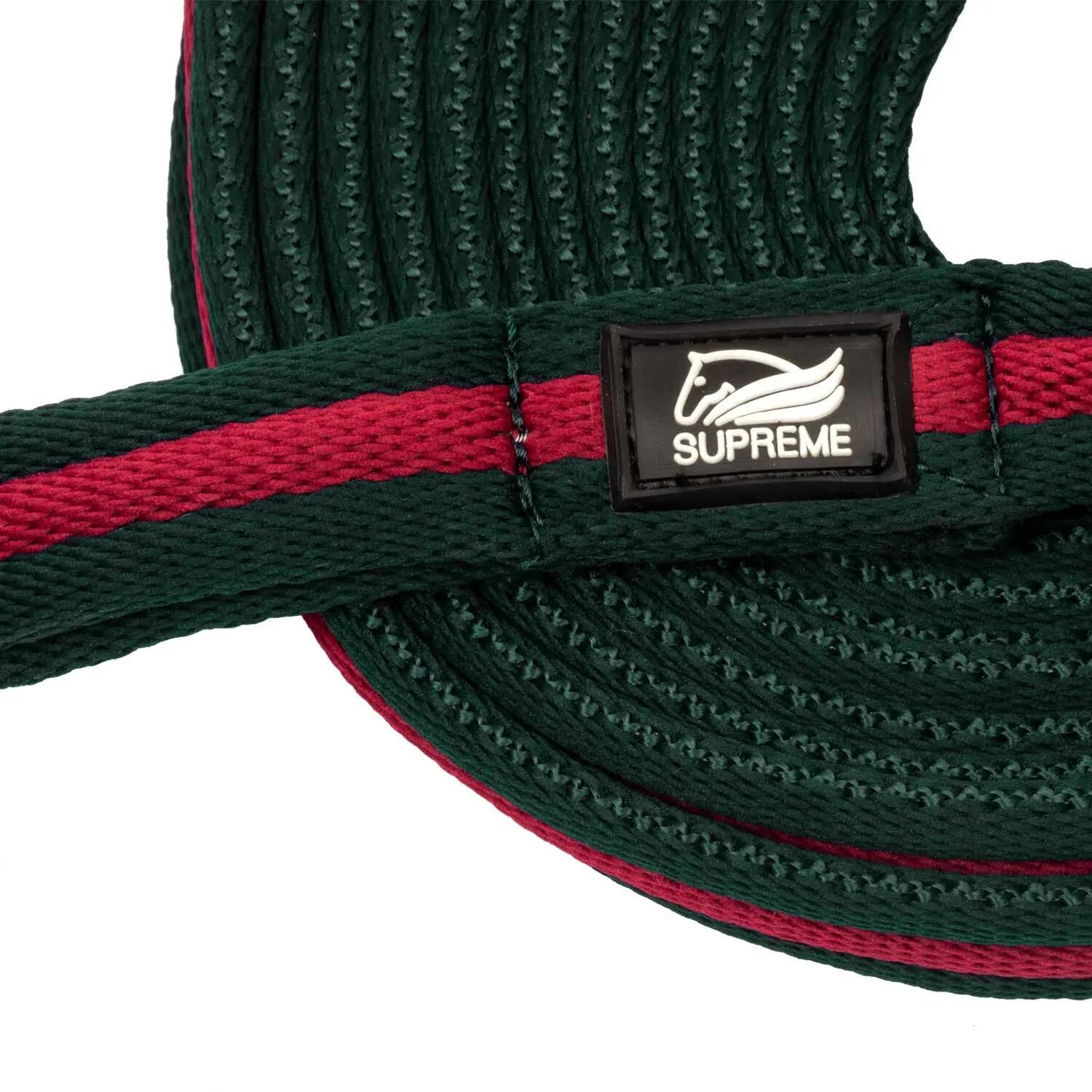 Padded nylon lunge rein with  attachment to halter 4/5