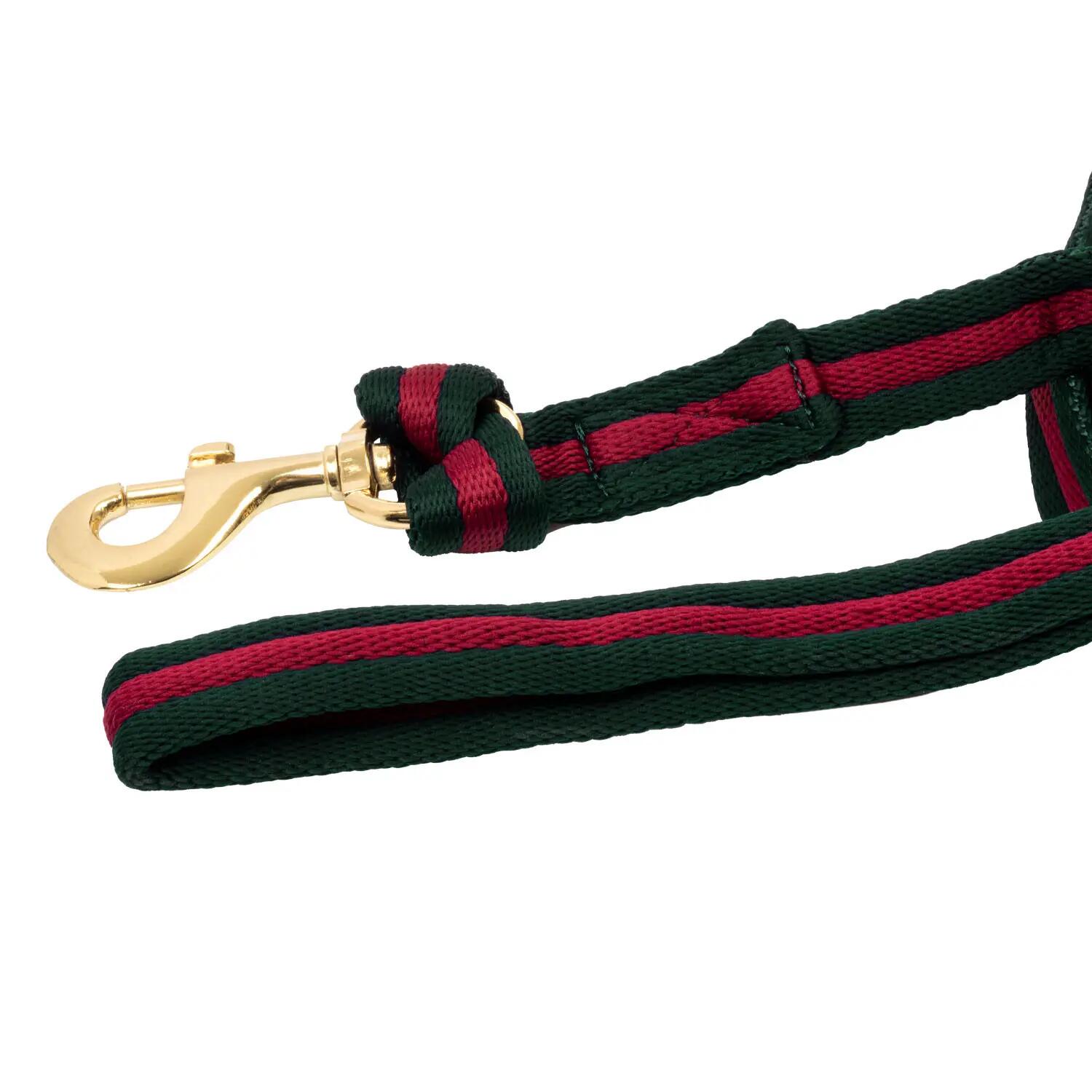 Padded nylon lunge rein with  attachment to halter 3/5