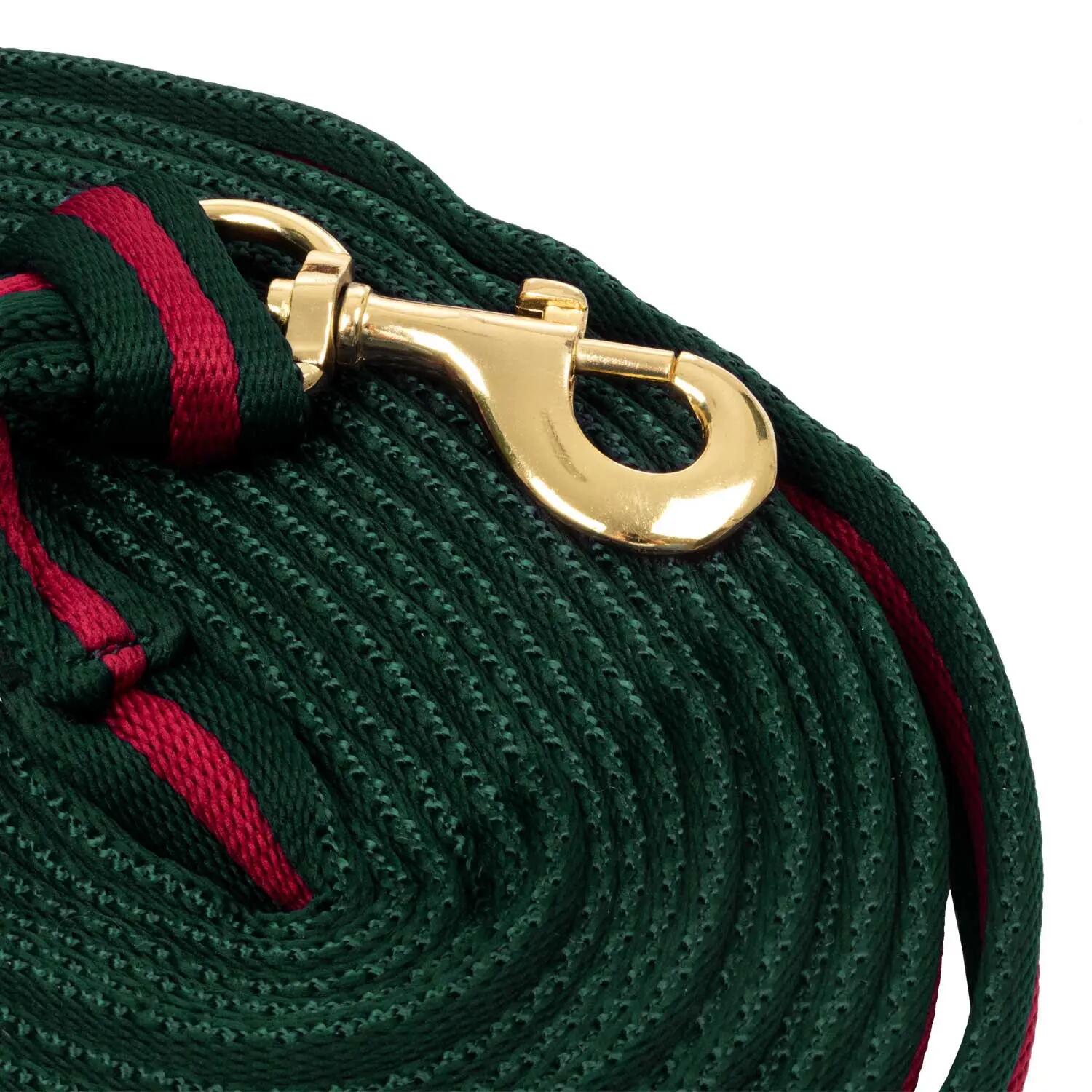 Padded nylon lunge rein with  attachment to halter 2/5