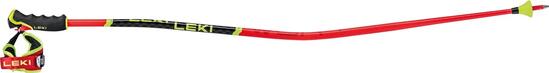 Bâtons de ski Leki WCR TBS GS 3D Aluminium