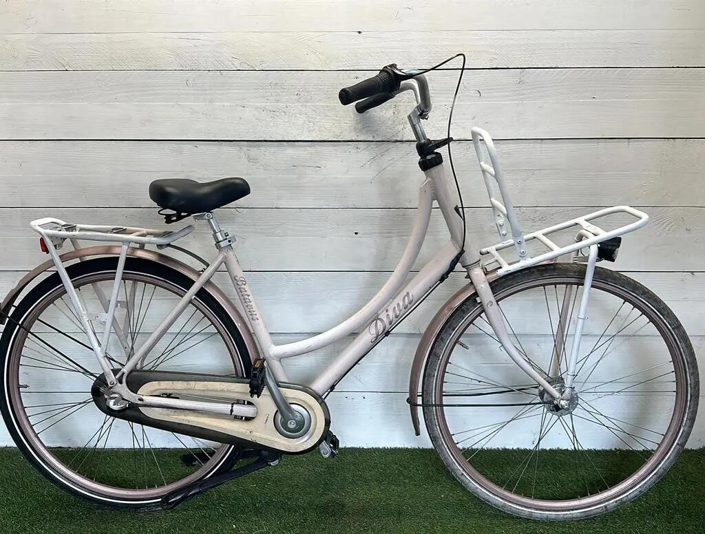 BATAVUS picture