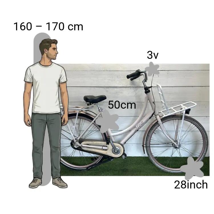 Bicicletta usata Batavus Diva 2/4