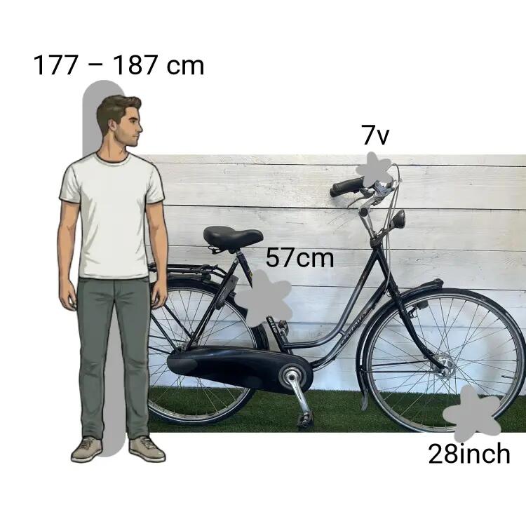 Bicicletta usata Gazelle Impala 2/4