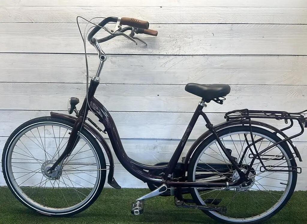Bicicletta usata Sparta Amazone Moederfiets 4/4