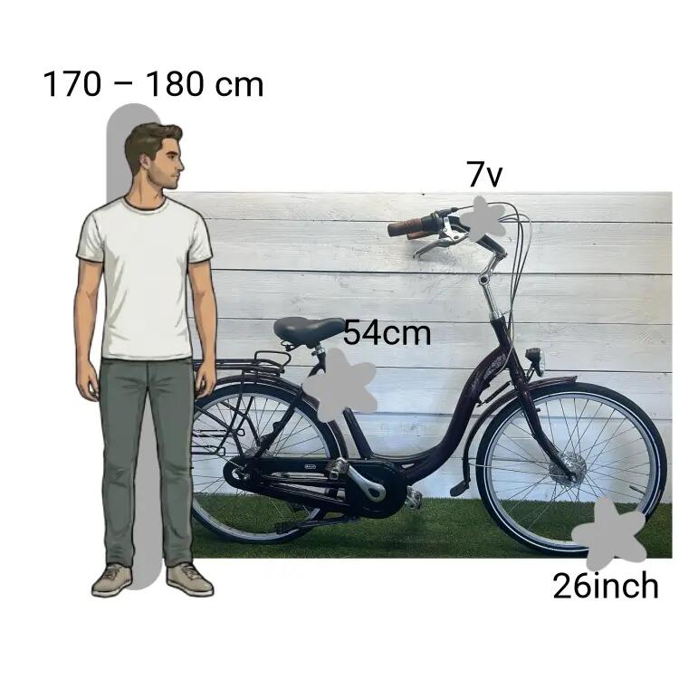 Bicicletta usata Sparta Amazone Moederfiets 2/4