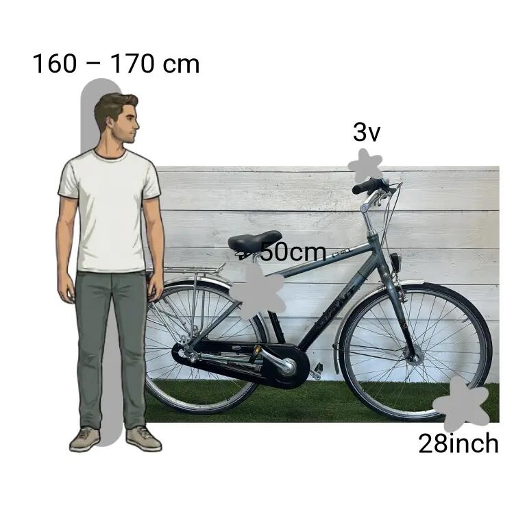 Bicicletta usata Giant Chill 2/4