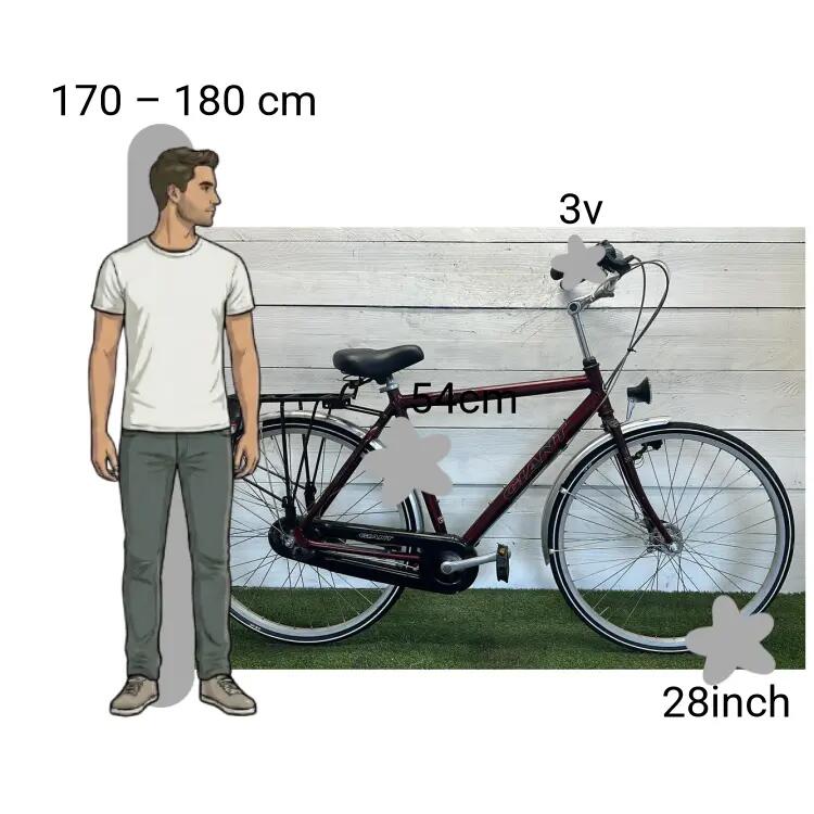 Bicicletta usata Giant Custom 2/4
