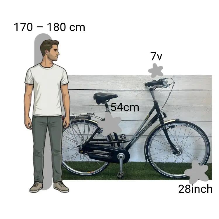 Bicicletta usata Gazelle Furore 2/4