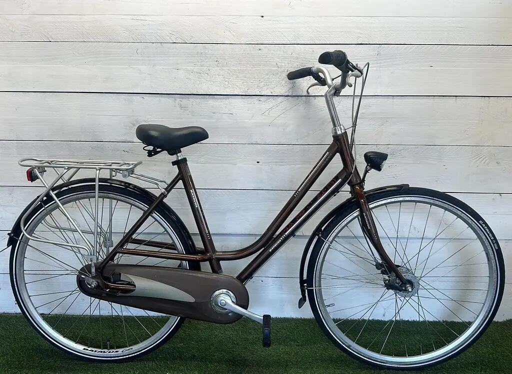 BATAVUS picture