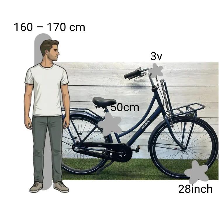 Bicicletta usata Nogan Transportfiets 2/4