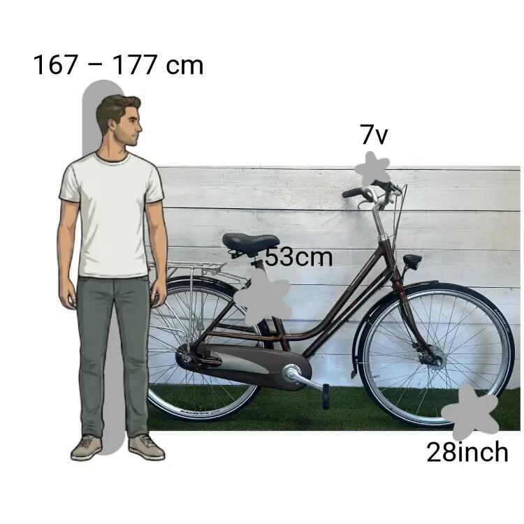 Bicicletta usata Batavus 2/4