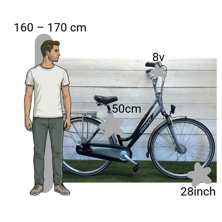Bicicletta usata Giant 2/4