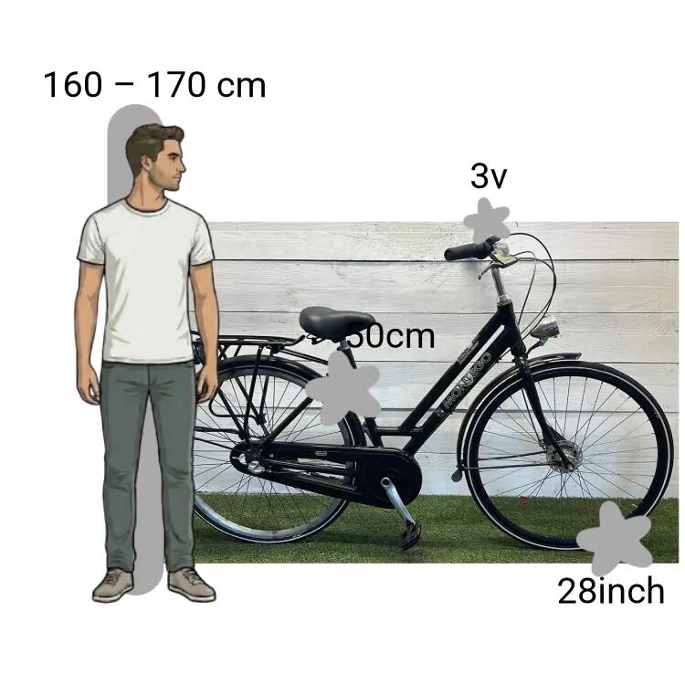 Bicicletta usata Montego College 2/4