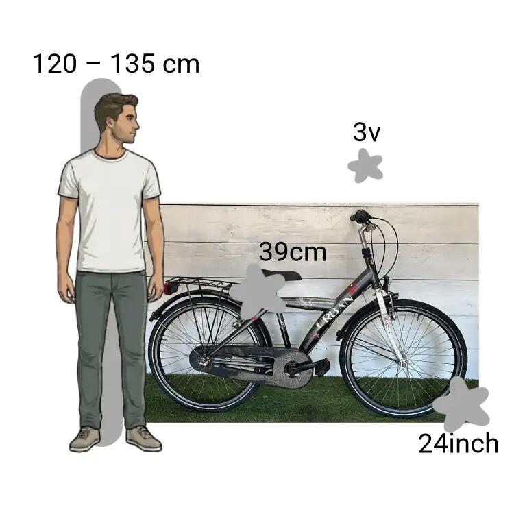 Bicicletta usata Sparta Urban 2/4