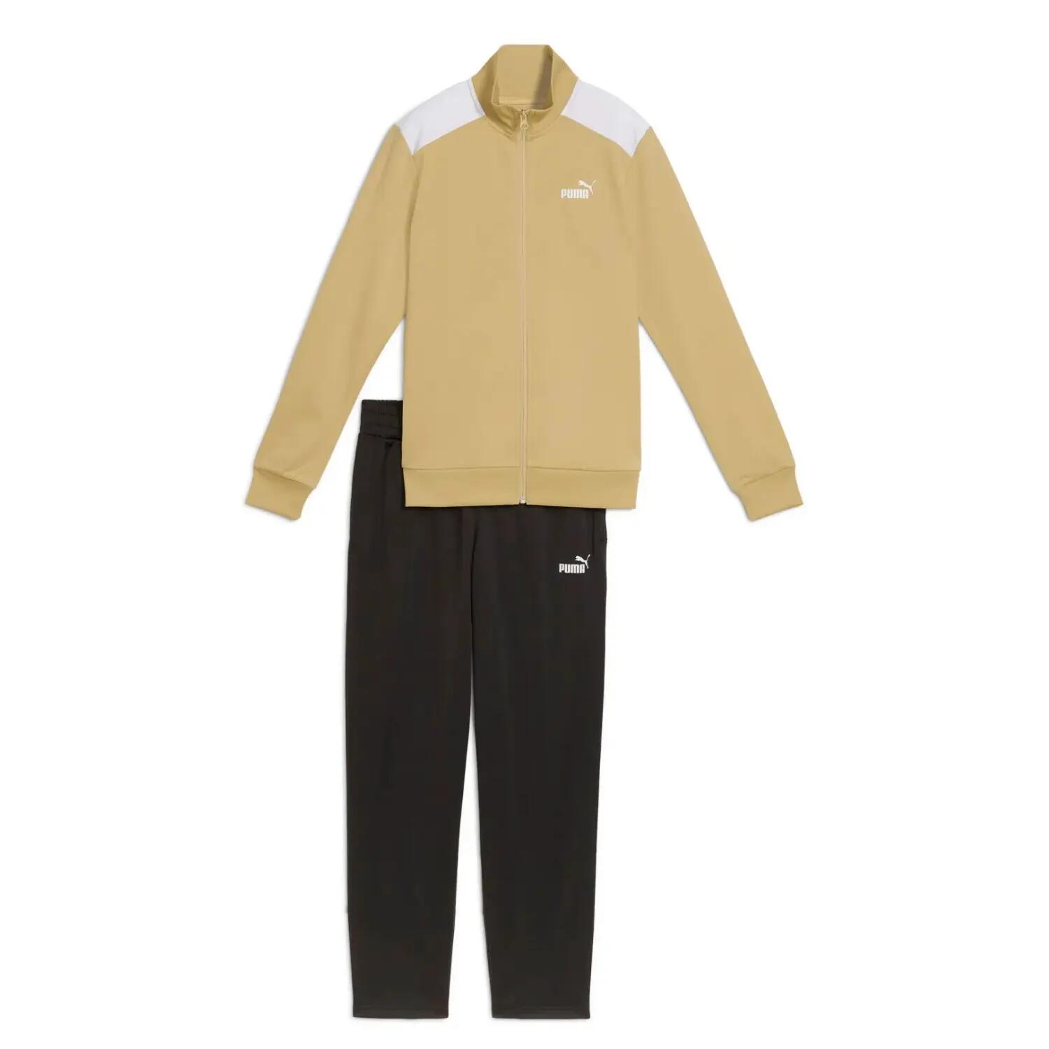 PUMA picture