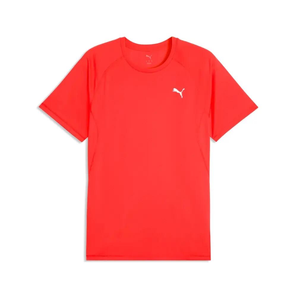 PUMA picture