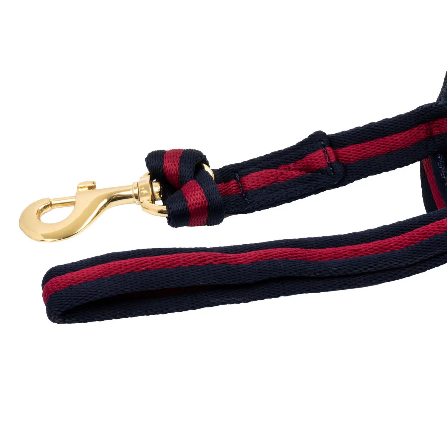 Gevoerde nylon longeerlijn met halsterbevestiging 3/5