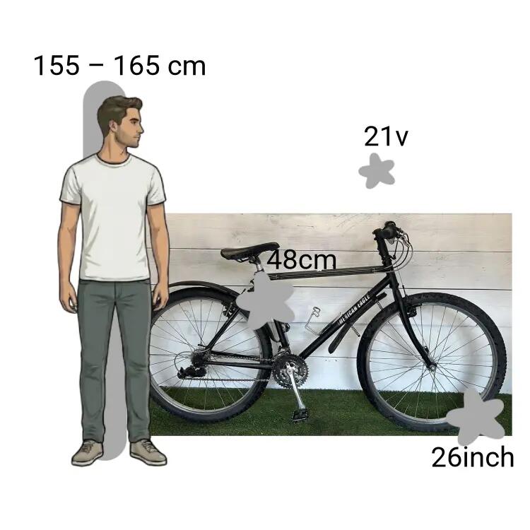 Bicicletta usata American Eagle 2/4