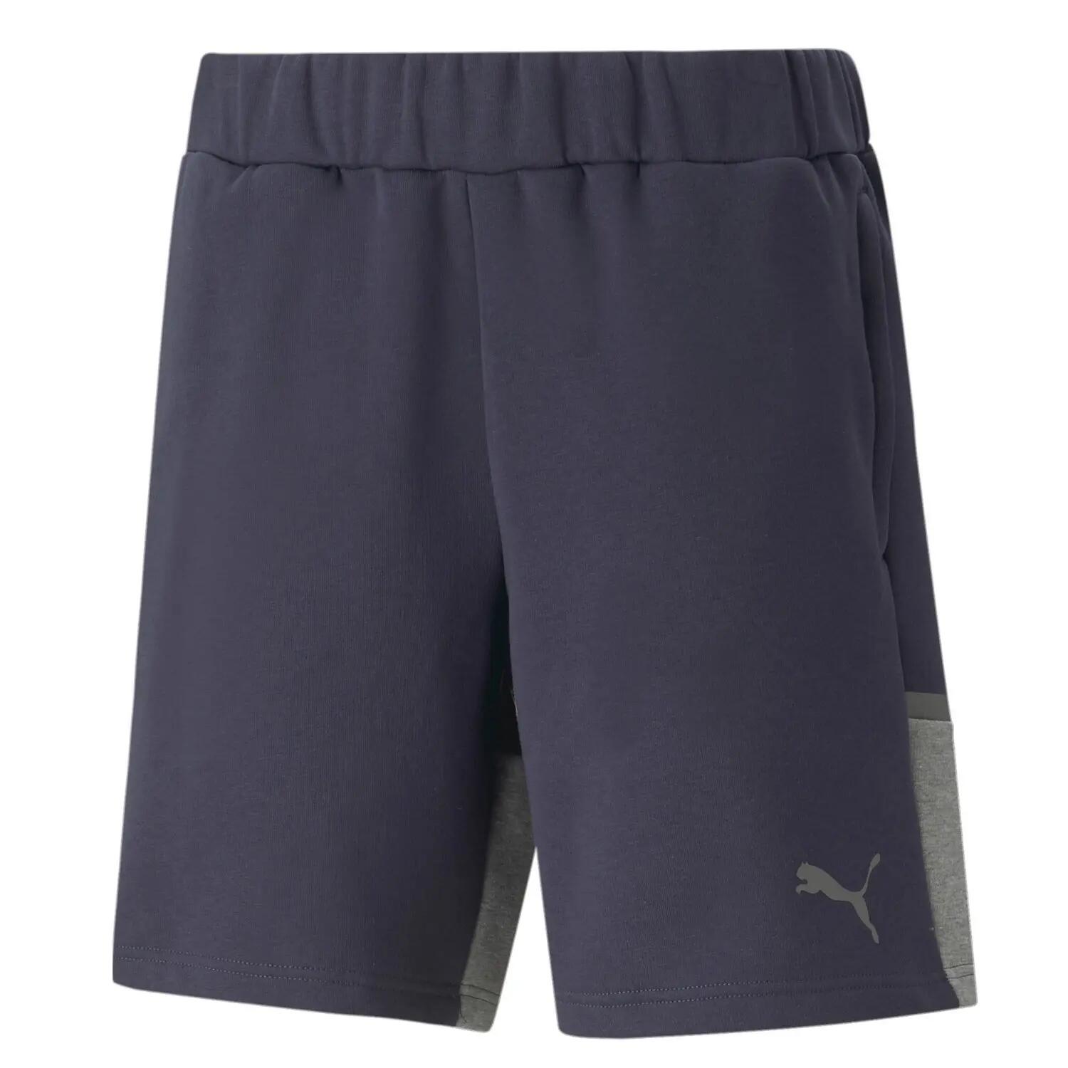 PUMA picture
