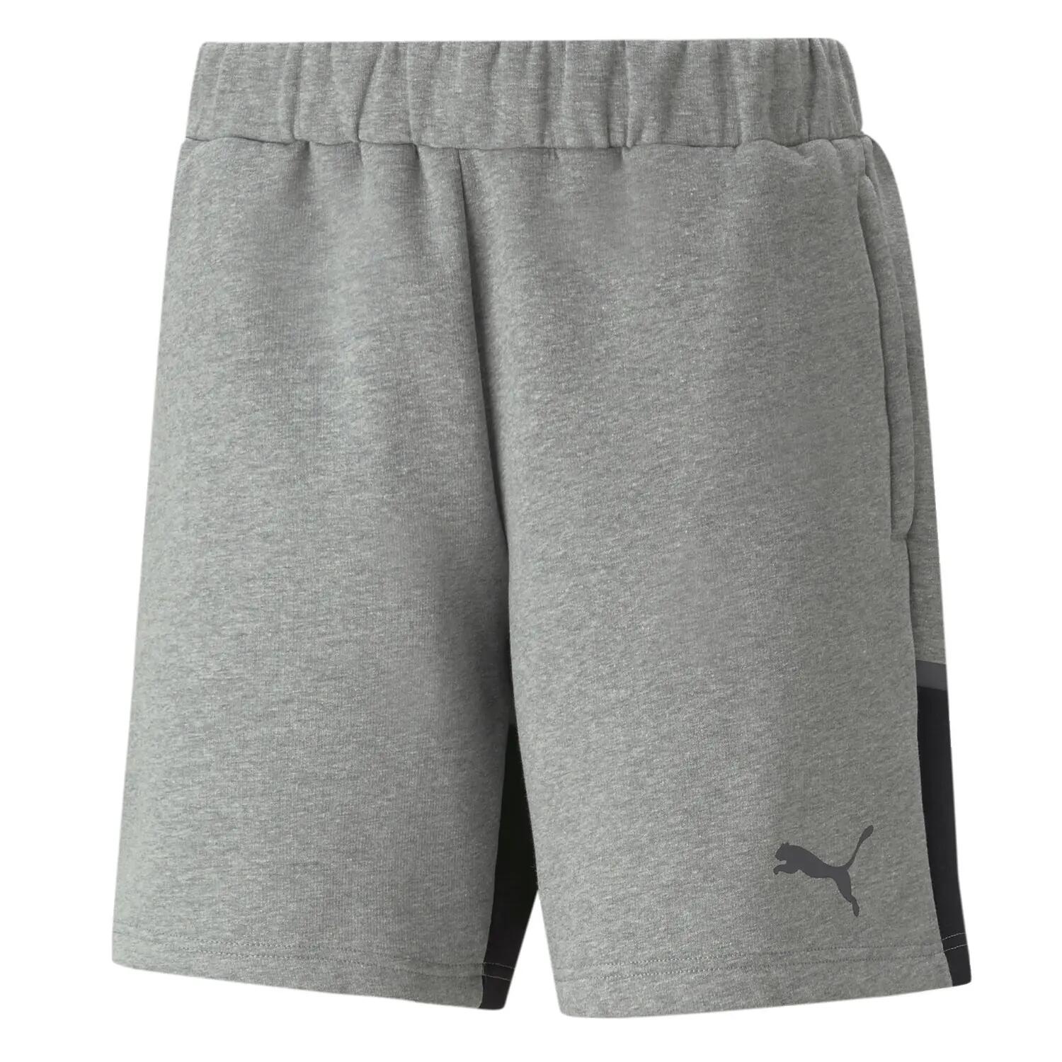 PUMA picture