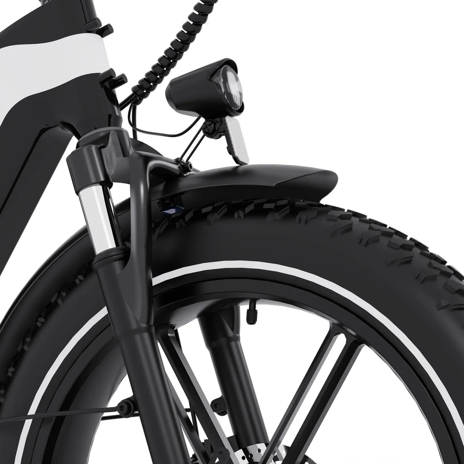 ECO R2 opvouwbare elektrische Fat Bike 20x4.0, 48V 10,4Ah accu 8/9