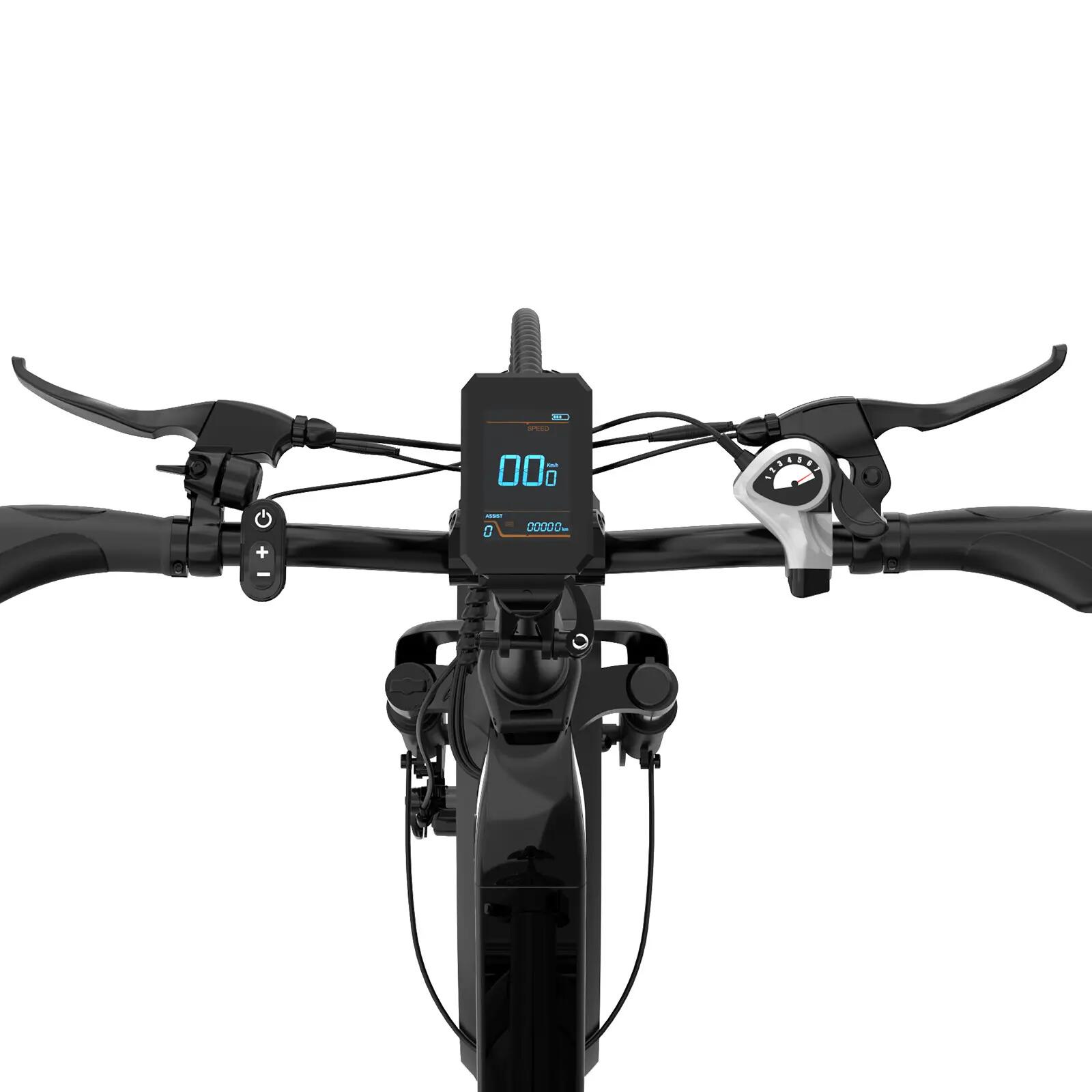 ECO R2 opvouwbare elektrische Fat Bike 20x4.0, 48V 10,4Ah accu 5/9