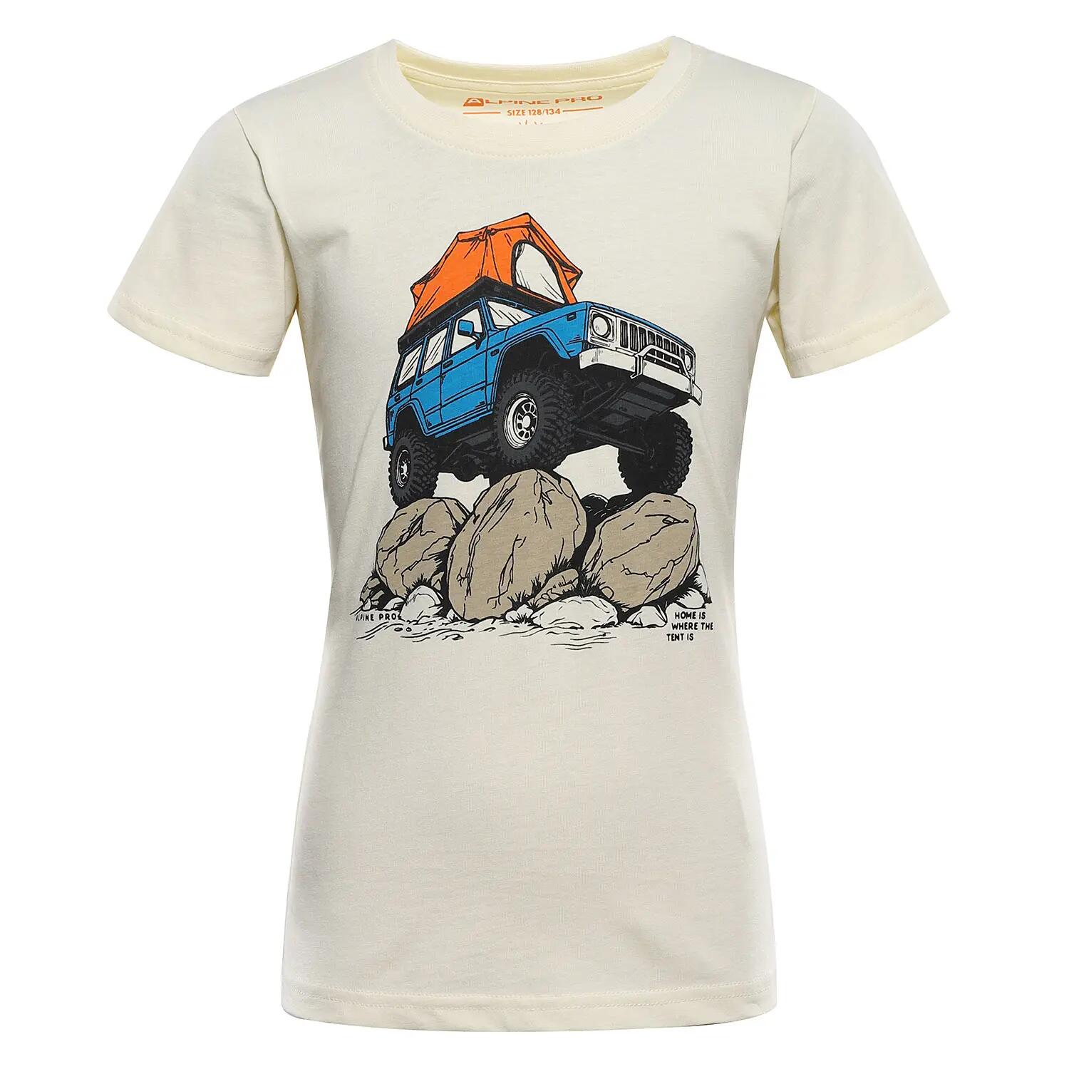 ALPINE PRO picture