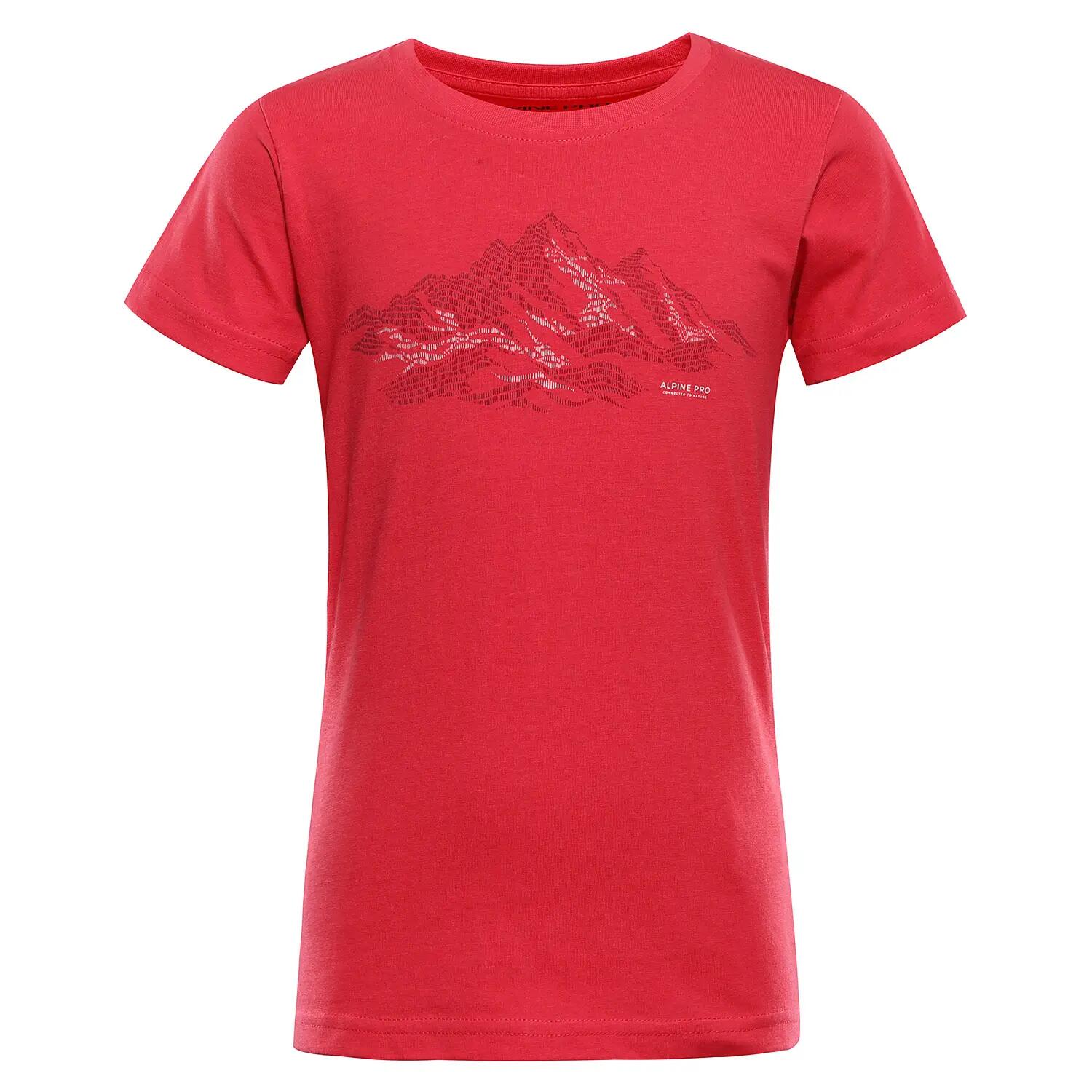 ALPINE PRO picture