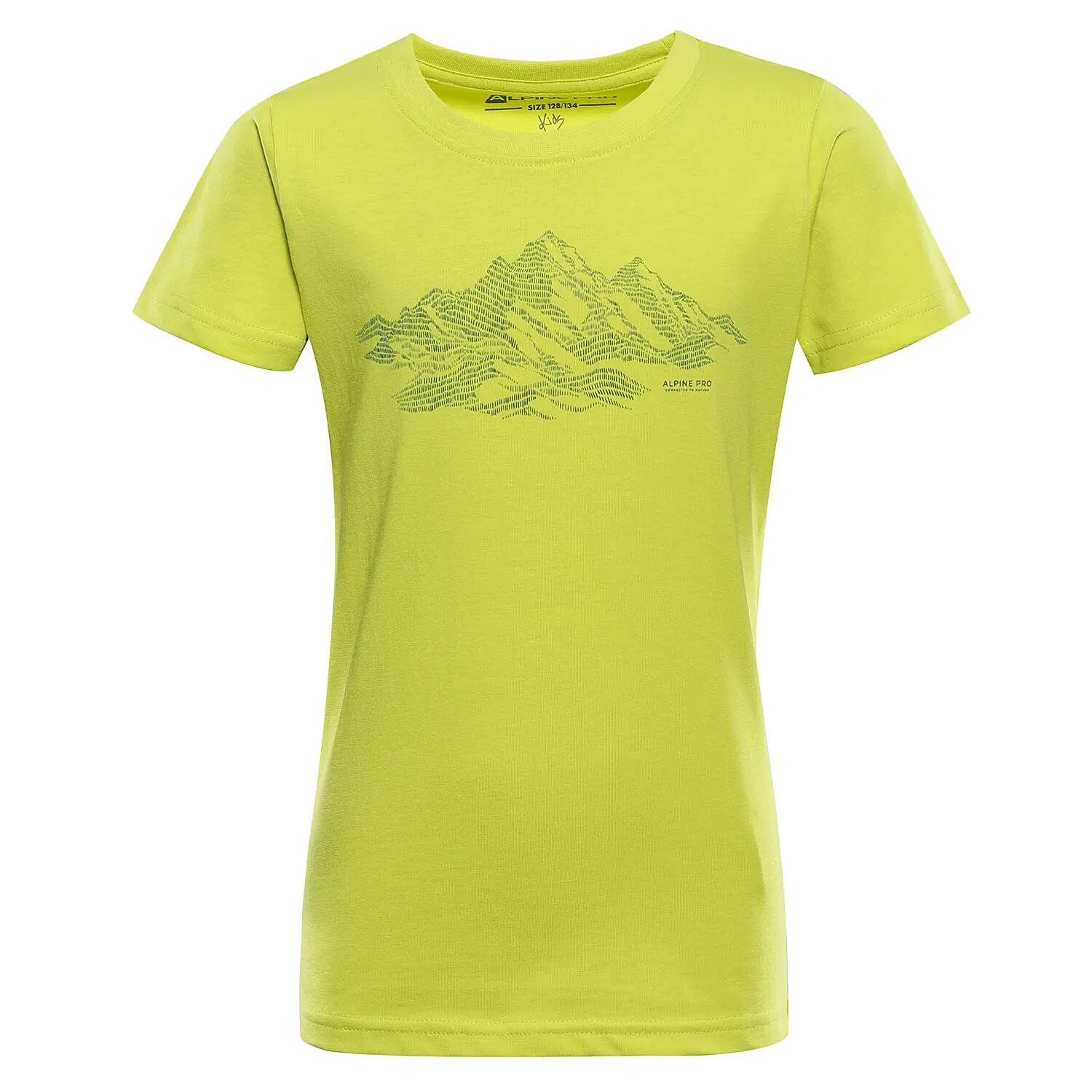 ALPINE PRO picture