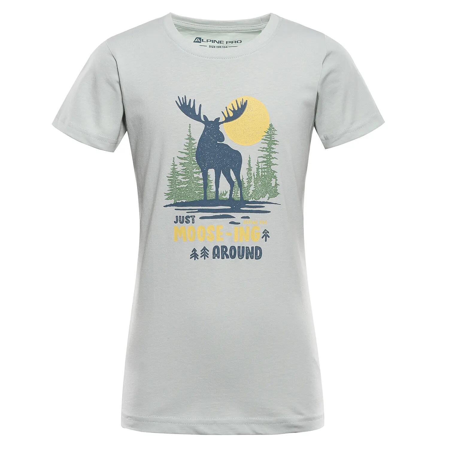 ALPINE PRO picture