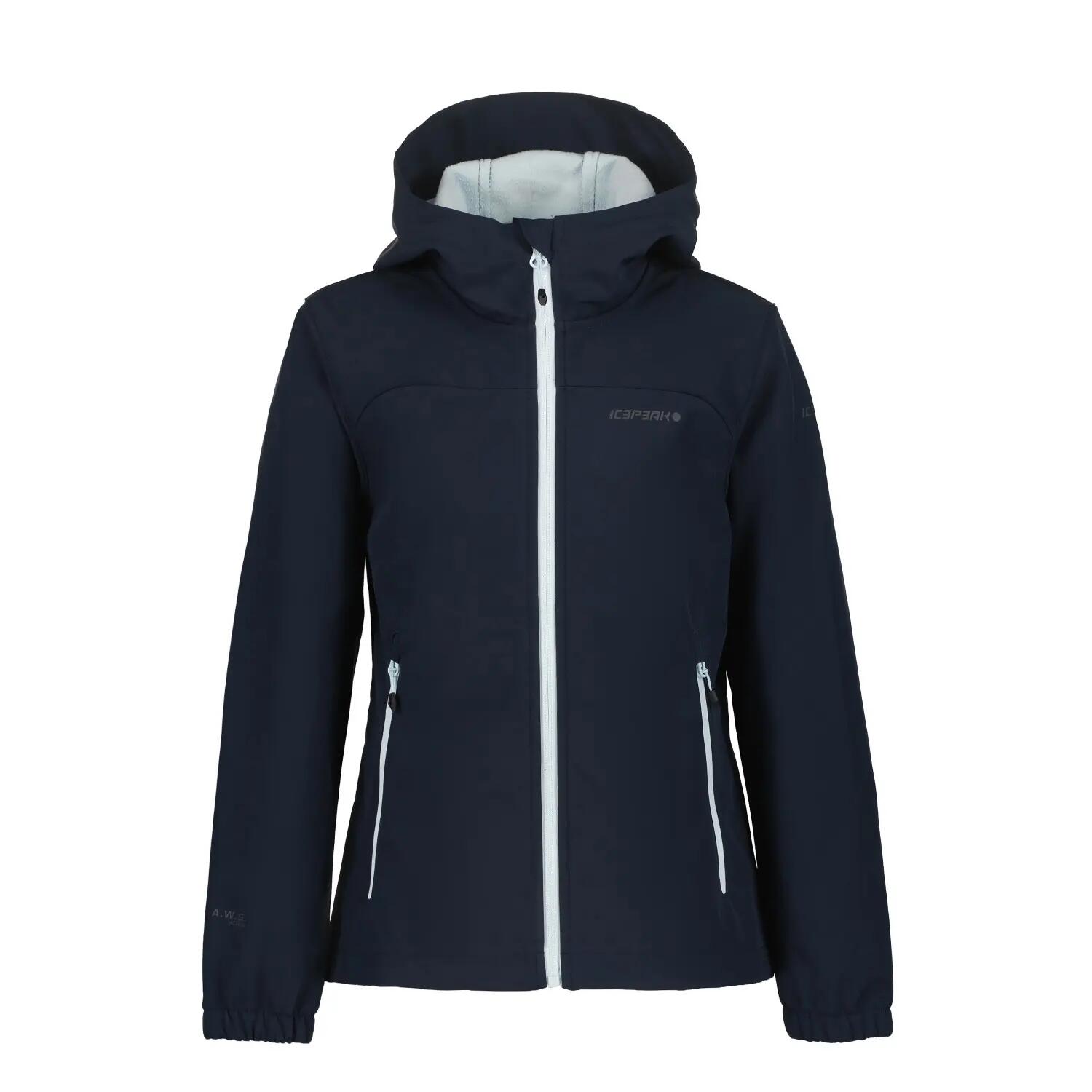 ICEPEAK picture