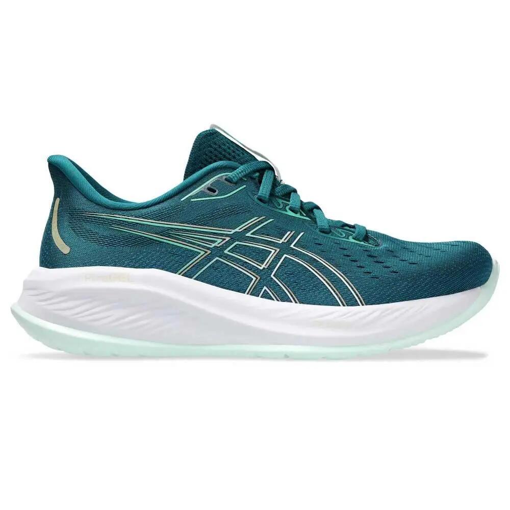 ASICS picture