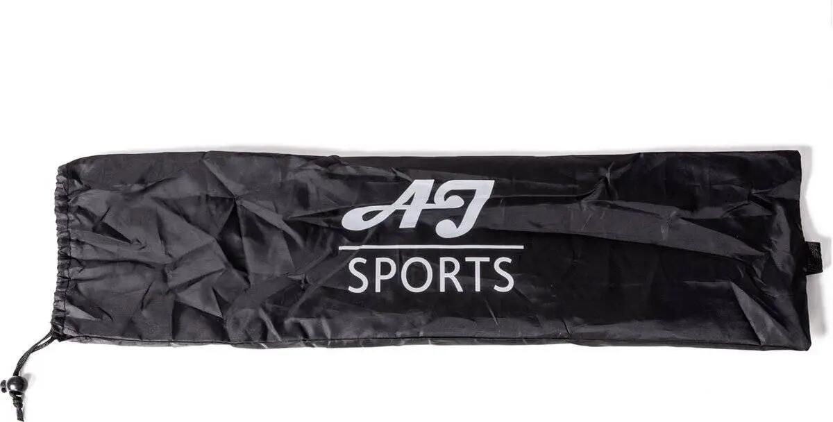AJ-Sports dubbele loopladder 6 meter 3/4
