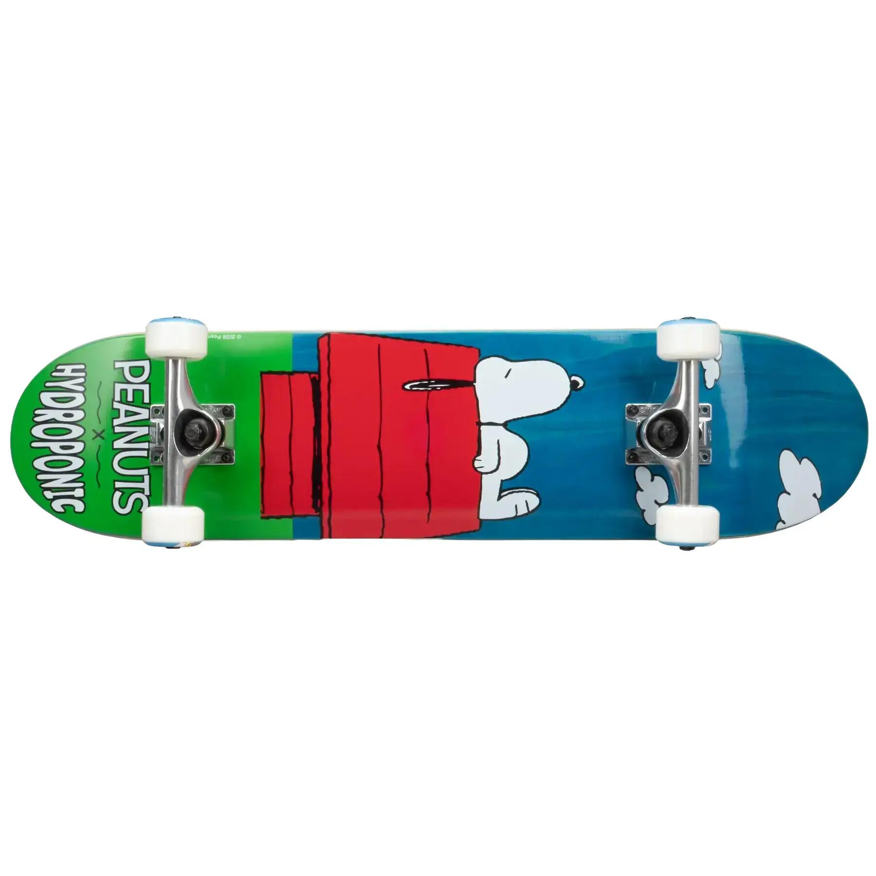 Skateboard Kind Hydroponic Hydroponic x Peanuts House 4/4