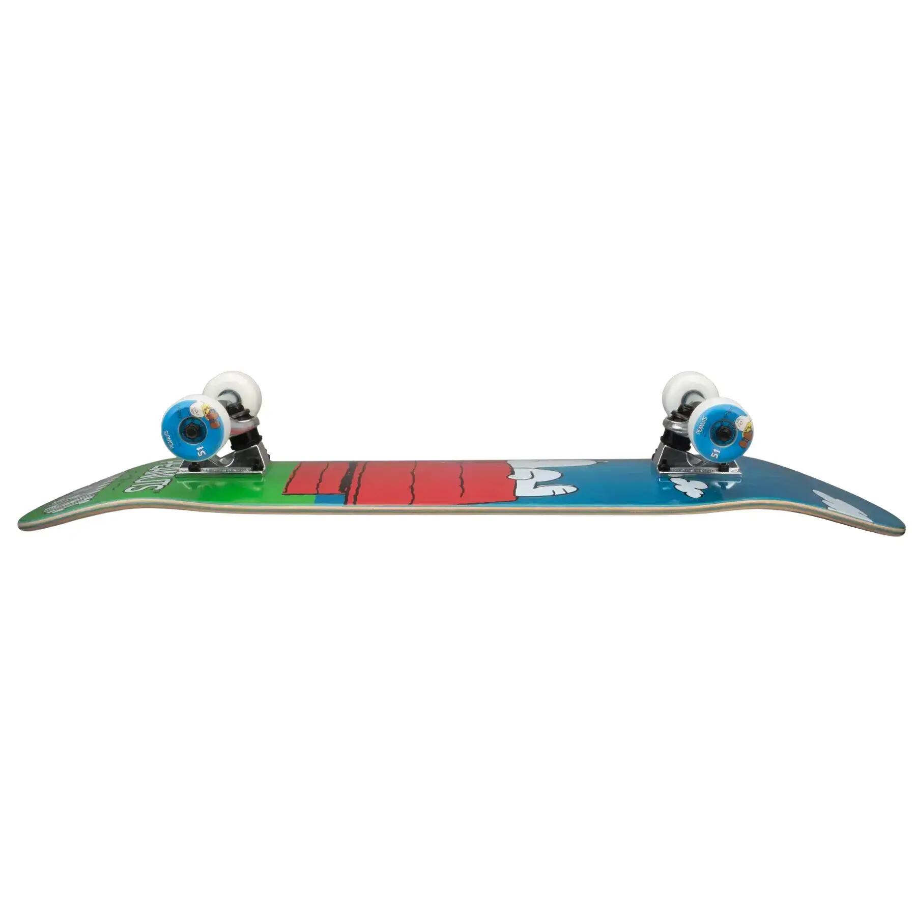 Skateboard Kind Hydroponic Hydroponic x Peanuts House 2/4