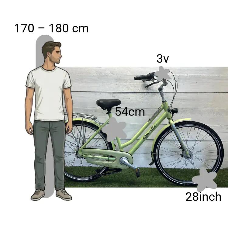 Bicicletta usata Gazelle Grace Miss 2/4