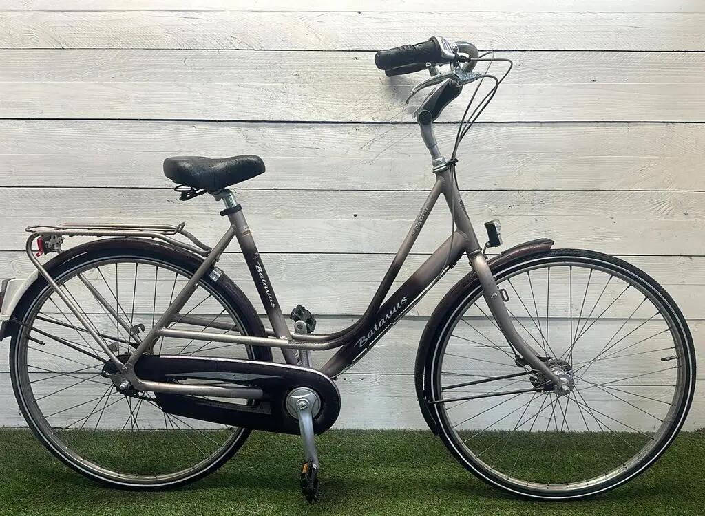BATAVUS picture