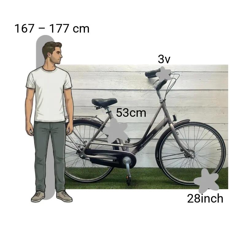 Bicicletta usata Batavus Torino 2/4