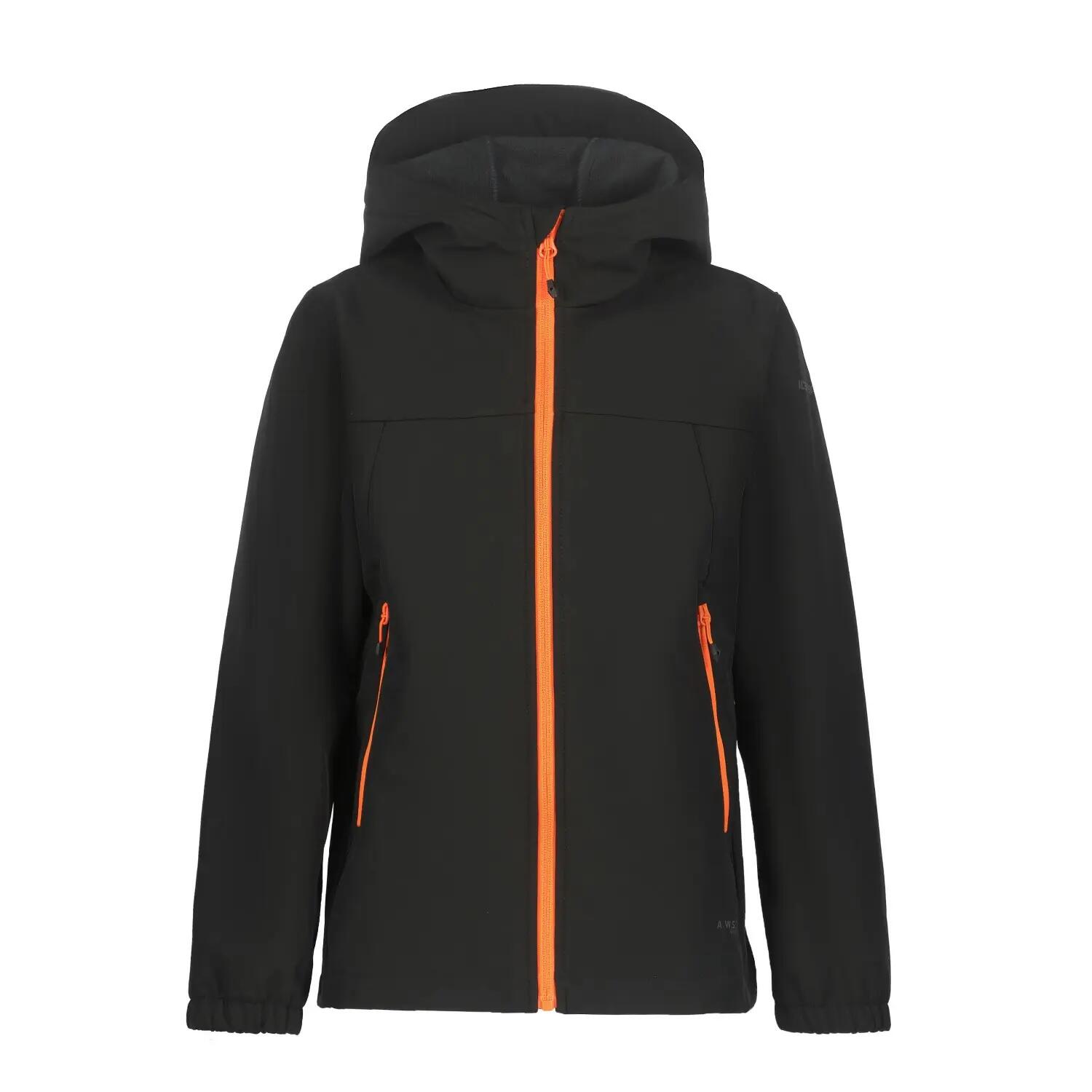 ICEPEAK picture